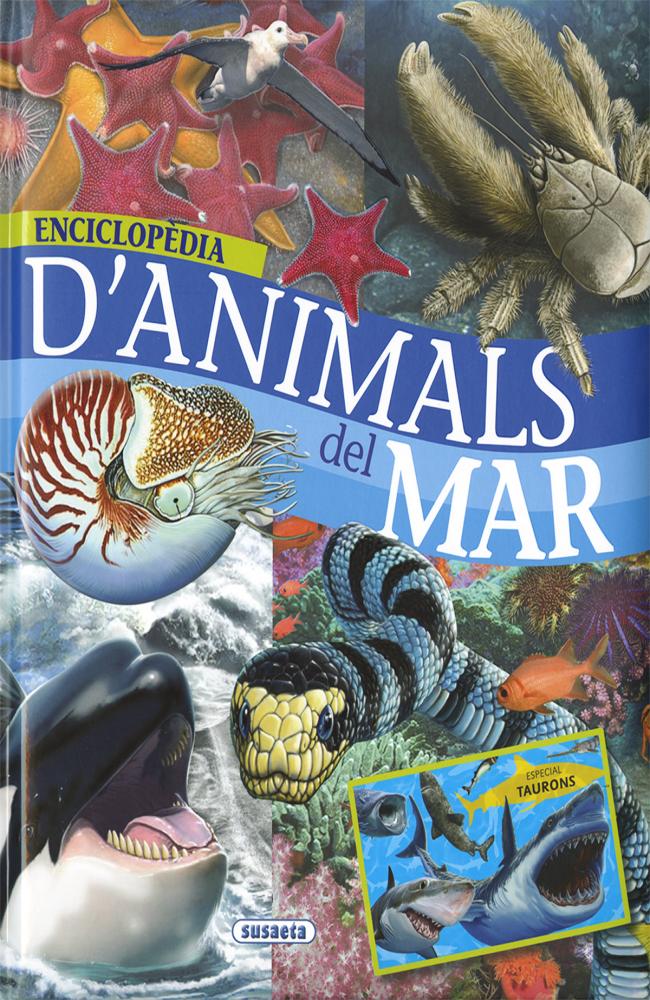 Enciclopèdia d&