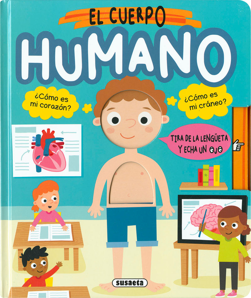 El cuerpo humano