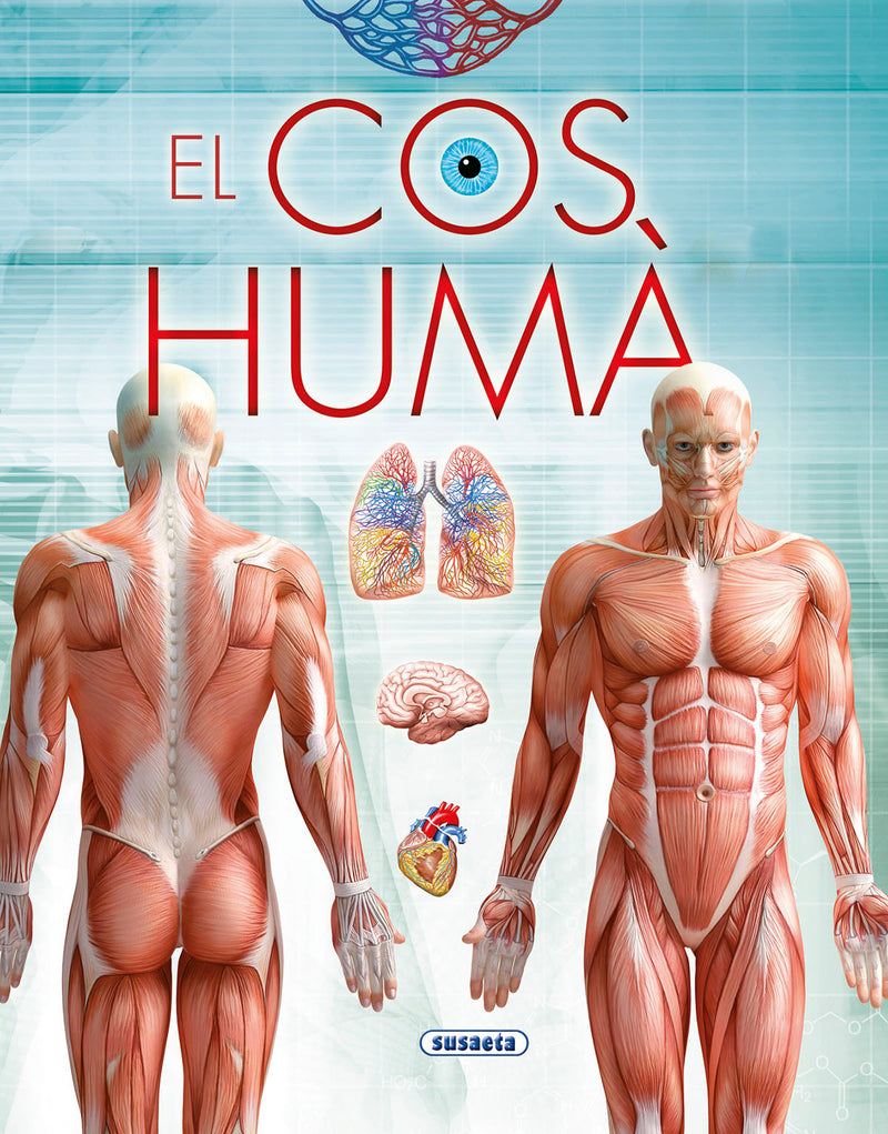 El cos humà