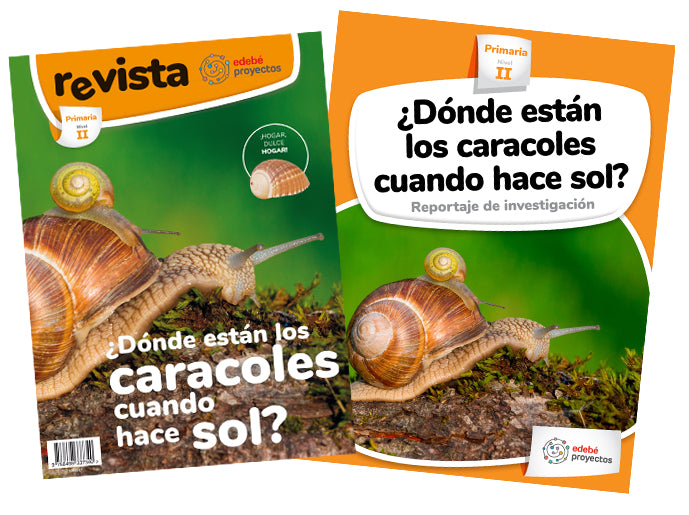 ¿DÓNDE ESTÁN LOS CARACOLES CUANDO HACE SOL? (Reportaje de investigación)