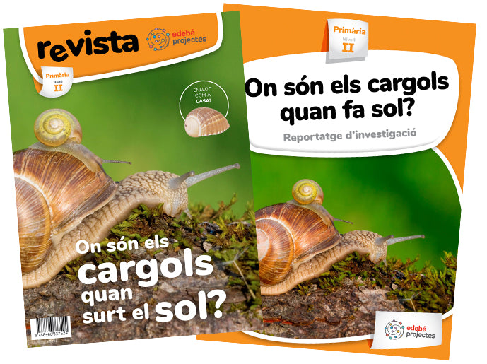 ON SÓN ELS CARGOLS QUAN FA SOL? (Reportatge dinvestigació)