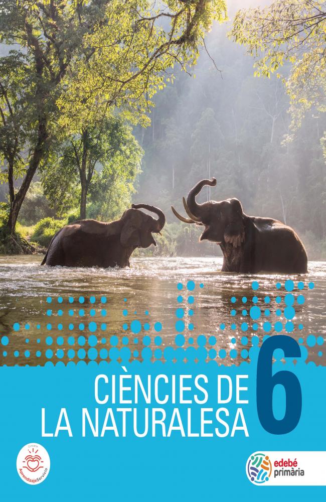 CIÈNCIES DE LA NATURALESA 6