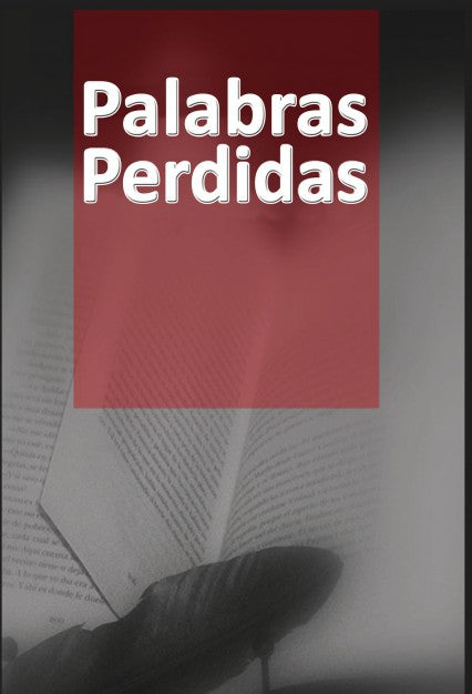 PALABRAS PERDIDAS