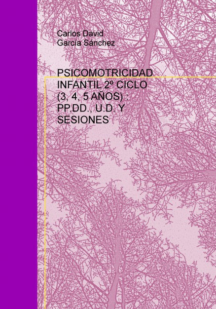 PROGRAMACIÓN DIDÁCTICA, UNIDADES DIDÁCTICAS Y SESIONES DE PSICOMOTRICIDAD