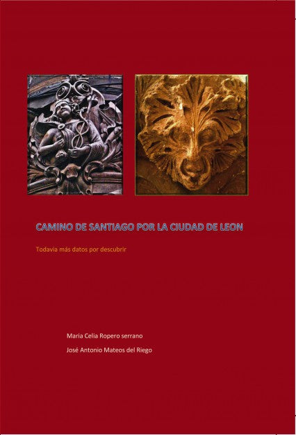 CAMINO DE SANTIAGO POR LA CIUDAD DE LEON Todavía más datos por descubrir