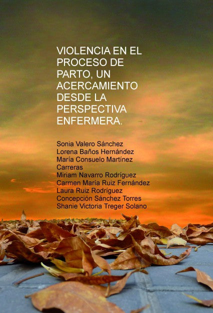 Violencia en el proceso de parto, un acercamiento desde la perspectiva enfermera.