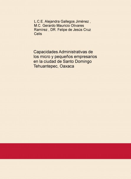 Capacidades Administrativas de los micro y pequeños empresarios en la ciudad de Santo Domingo Tehuantepec, Oaxaca