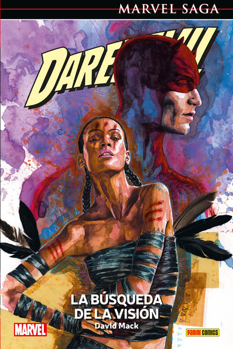Daredevil 9. La búsqueda de la visión