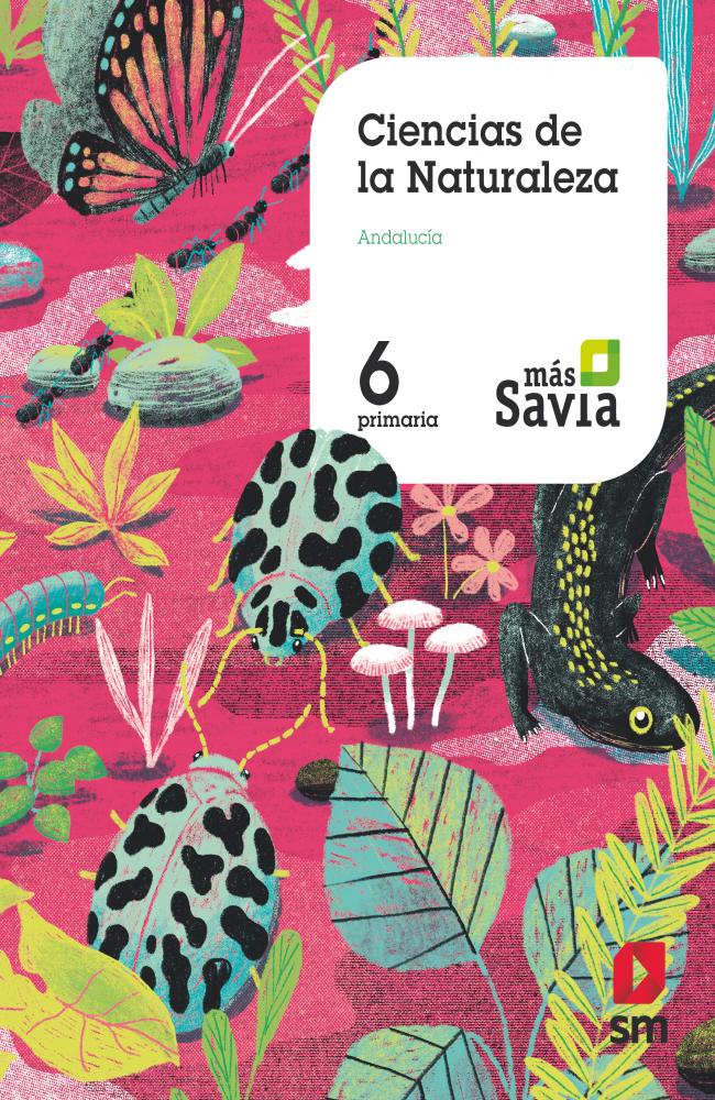 Ciencias de la naturaleza. 6 Primaria. Mas Savia. KC. Andalucía