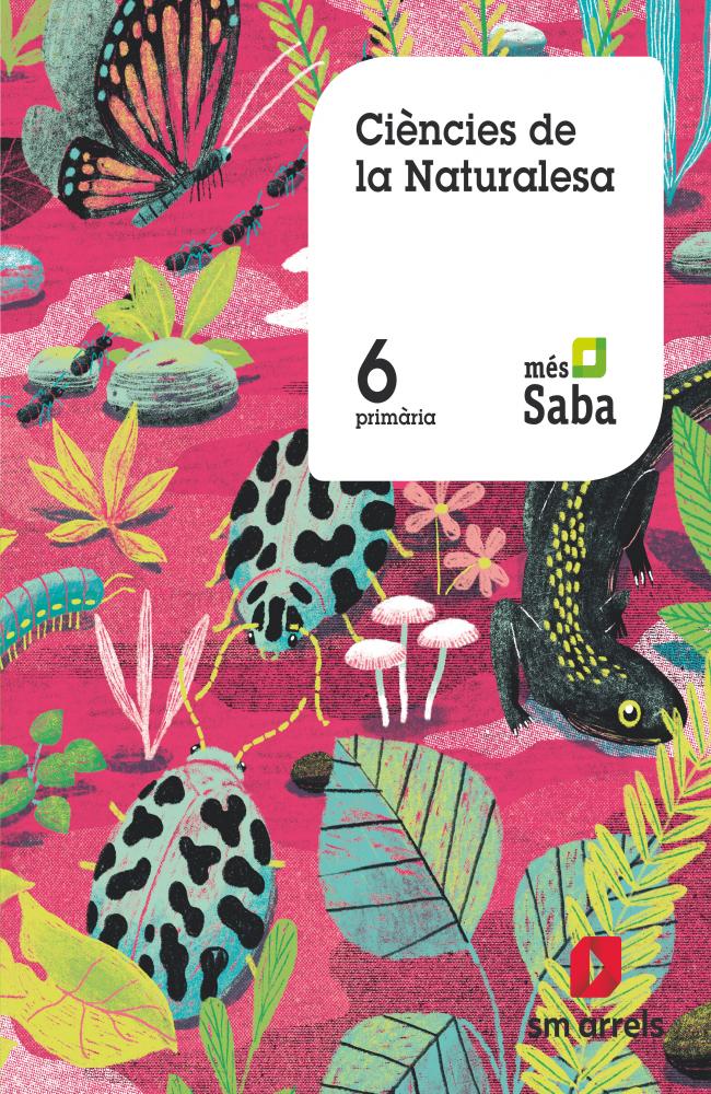 Ciències de la naturalesa . 6 Primária. Més Saba