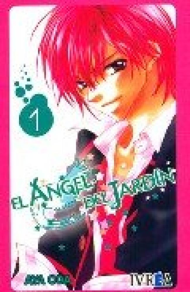 EL ANGEL DEL JARDIN 01 ( DE 4 ) (COMIC)