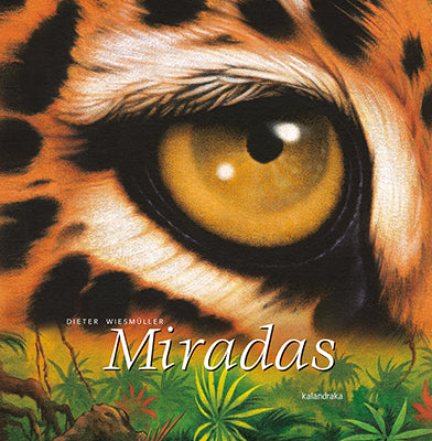 Miradas