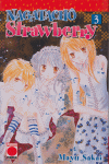 Nagatacho Strawberry 3