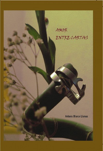 Amor entre cartas