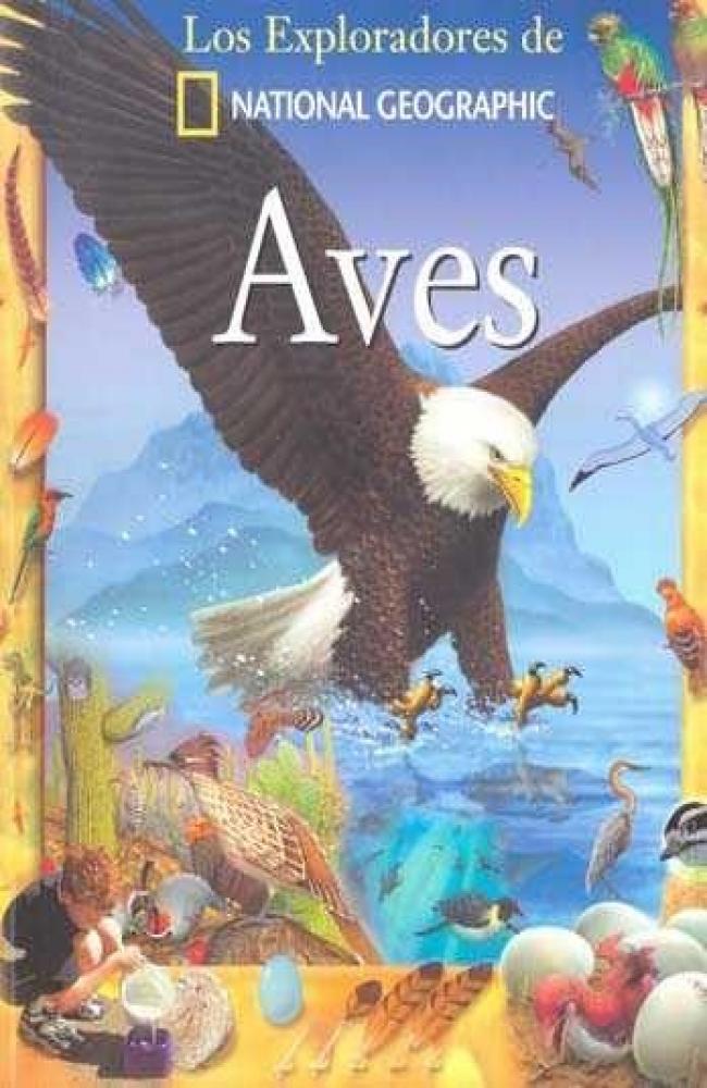Aves - oceano